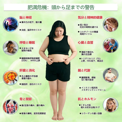 🔥内臓脂肪対策サポート 👨‍⚕️👩‍⚕️GeeLemon®＆NAD+ 8-in-1 ナノ強化フォーミュラ — 肥満、肌のたるみ、糖尿病、睡眠時無呼吸症候群、関節の悩み、その他健康上の懸念にアプローチ🛍️